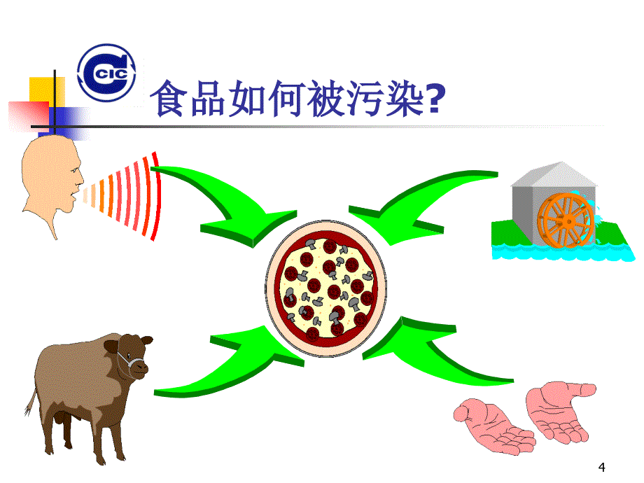 食品中危害与预防措施_第4页