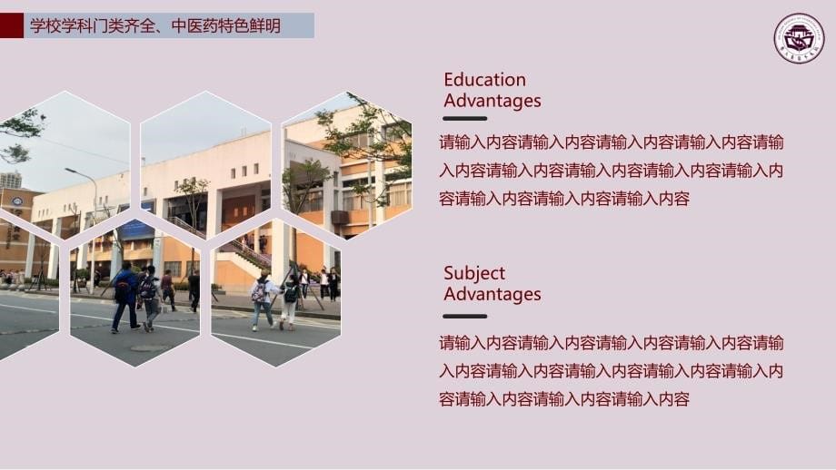 湖南中医药大学 -答辩通用PPT模板_第5页