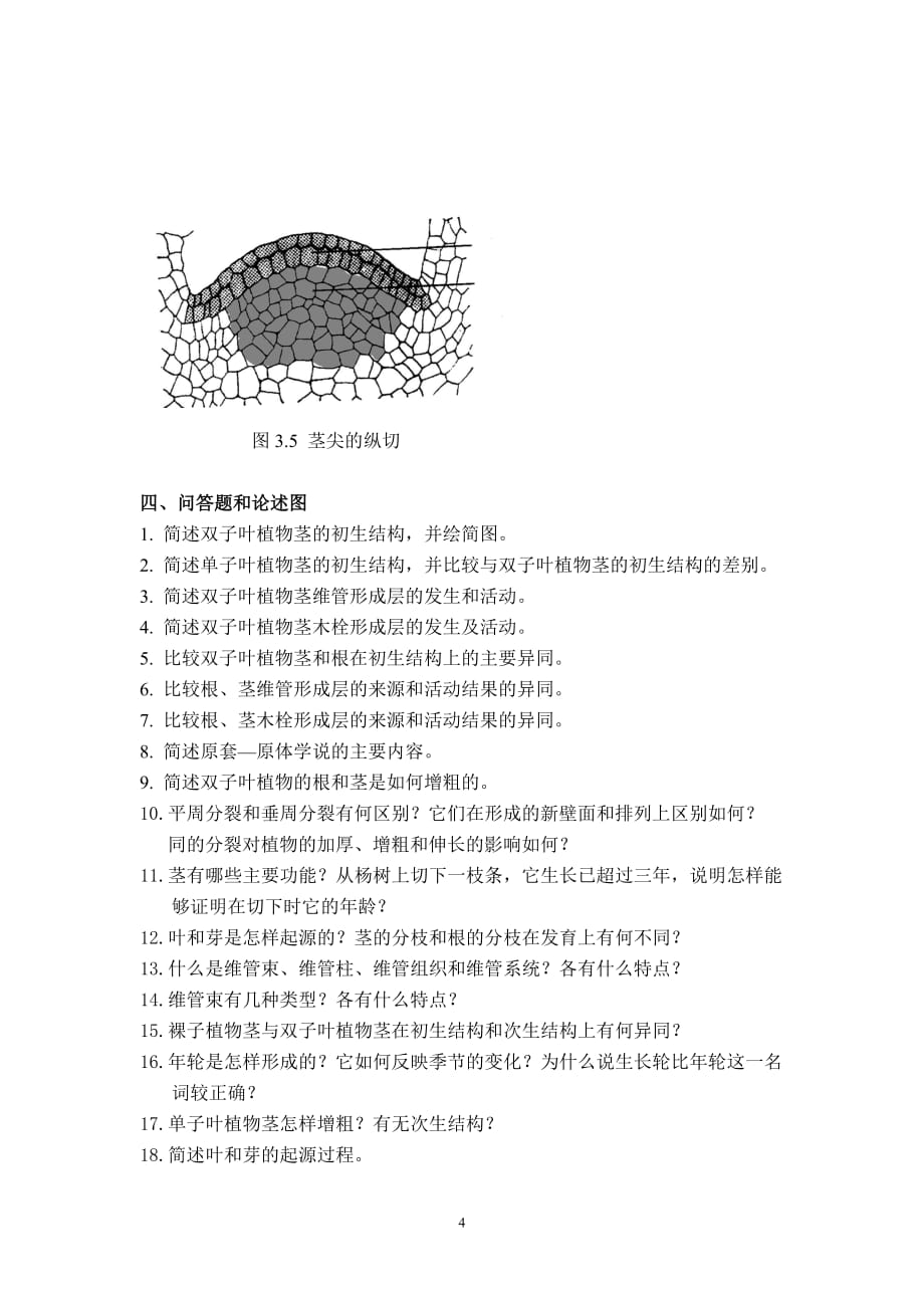 植物生物学复习题(第二章,第三章) (1)_第4页