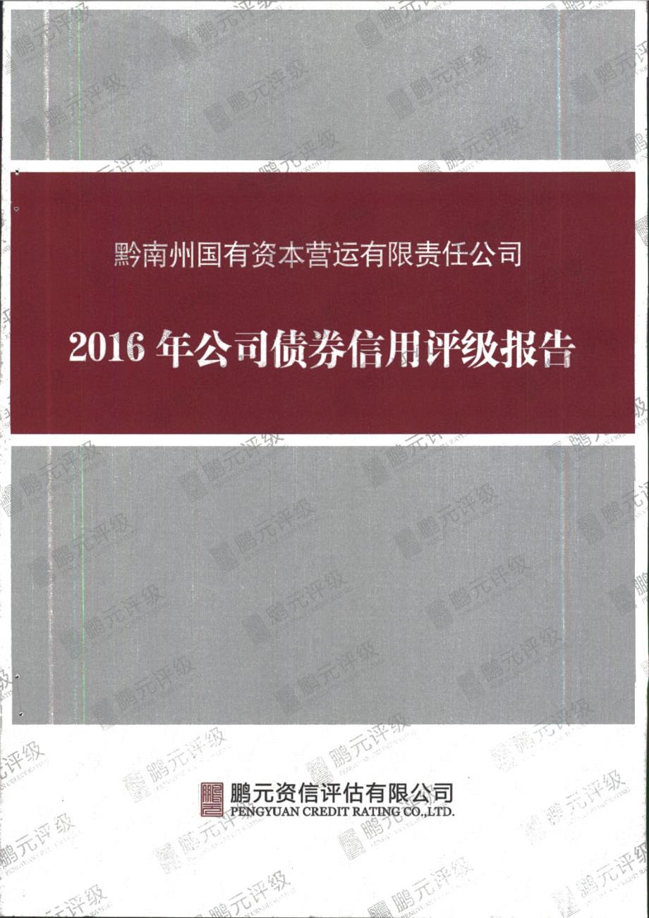 2016年黔南州国有资本营运有限责任公司公司债券信用评级报告_第2页