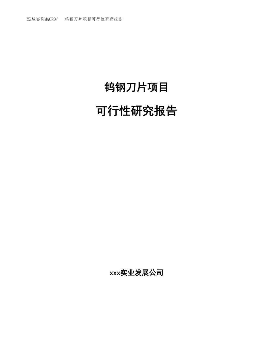 钨钢刀片项目可行性研究报告（总投资4000万元）.docx_第1页