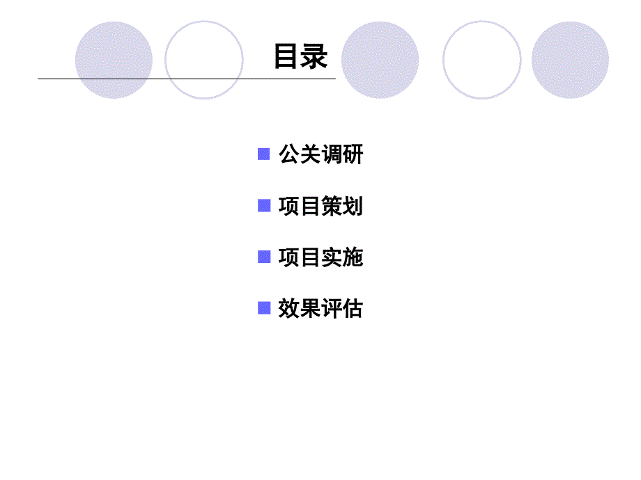 tcl笔记本电脑新产品项目策划方案_第2页