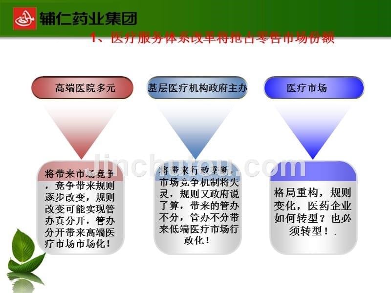 otc营销渠道变革与连锁药店战略合作课件_第5页