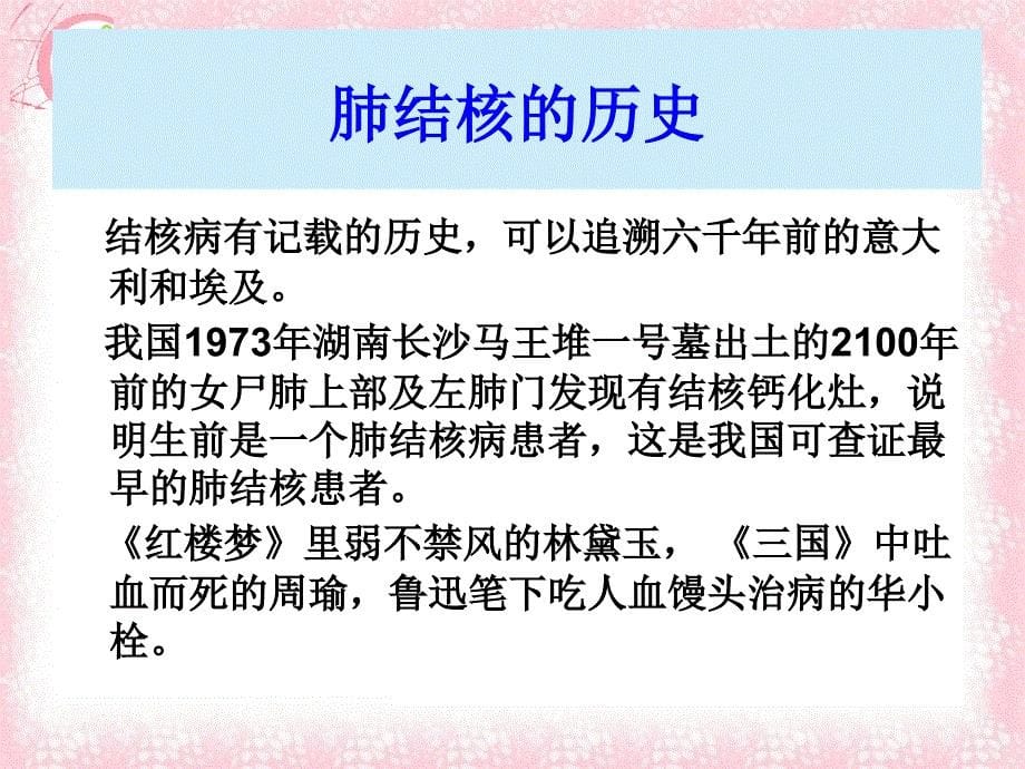 内科护理学 课程课件 肺结核_第5页