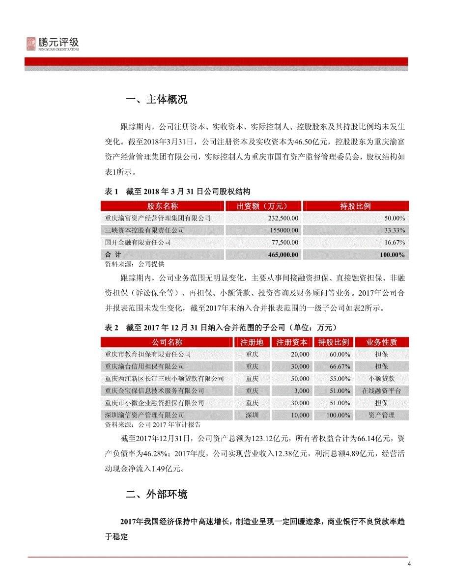 重庆三峡担保集团股份有限公司2018主体长期信用跟踪评级报告_第5页
