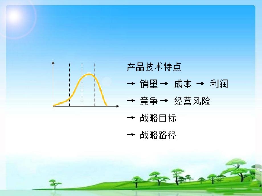 公司战略与风险管理课件1_第4页