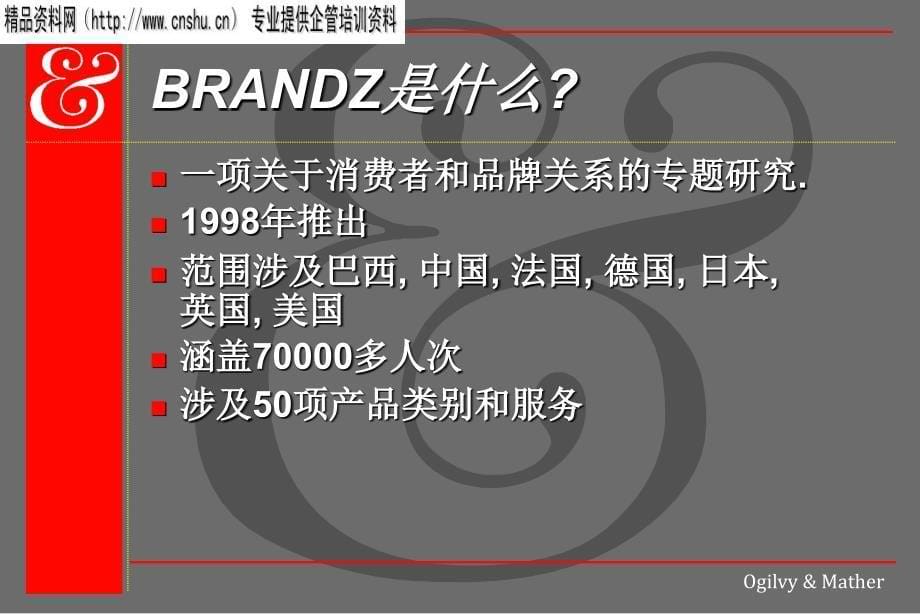 上海大众汽车品牌构建建议_第5页