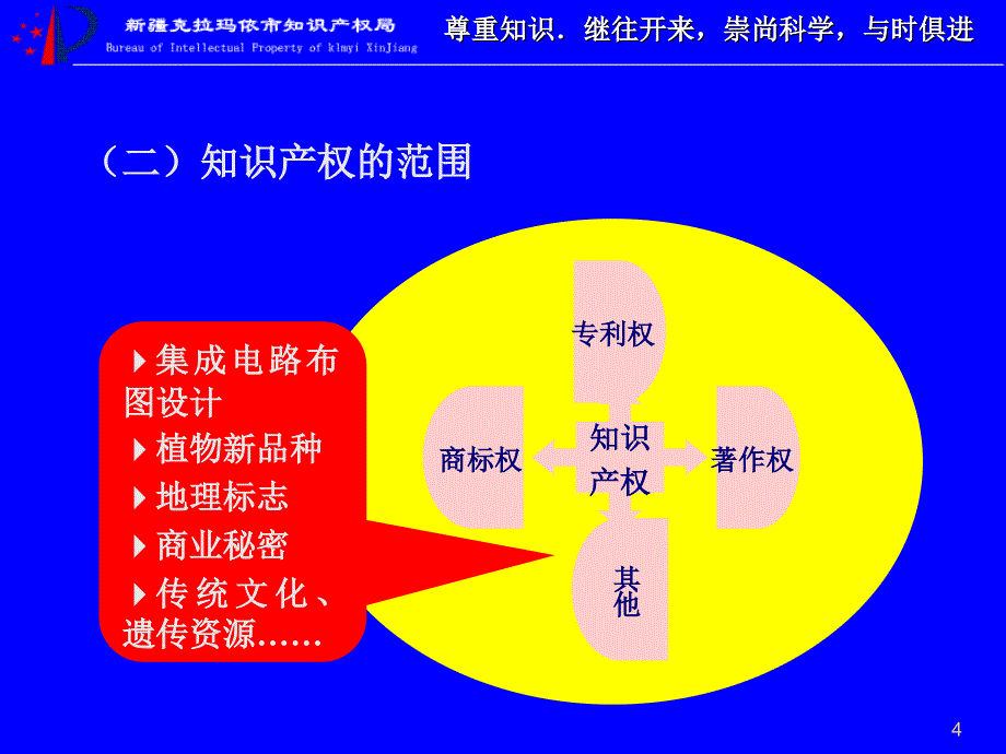 专利实施项目管理及企业专利管理体系建设方案_第4页