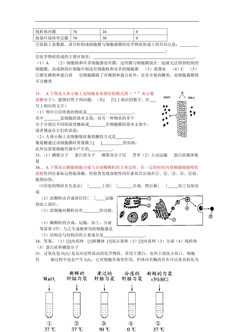 2016年高一生物模块综合测试（二）（新人教版必修1）_第4页