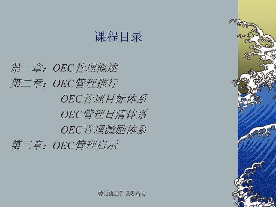 oec管理概述_第2页