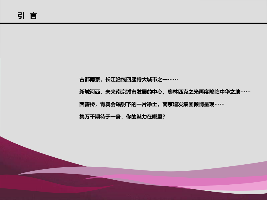 南京地块前期定位策划报告1_第2页