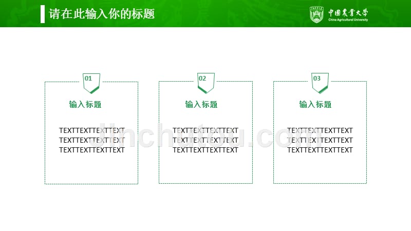 中国农业大学-答辩通用PPT模板_第4页