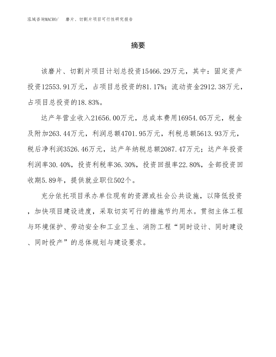 磨片、切割片项目可行性研究报告（总投资15000万元）.docx_第2页