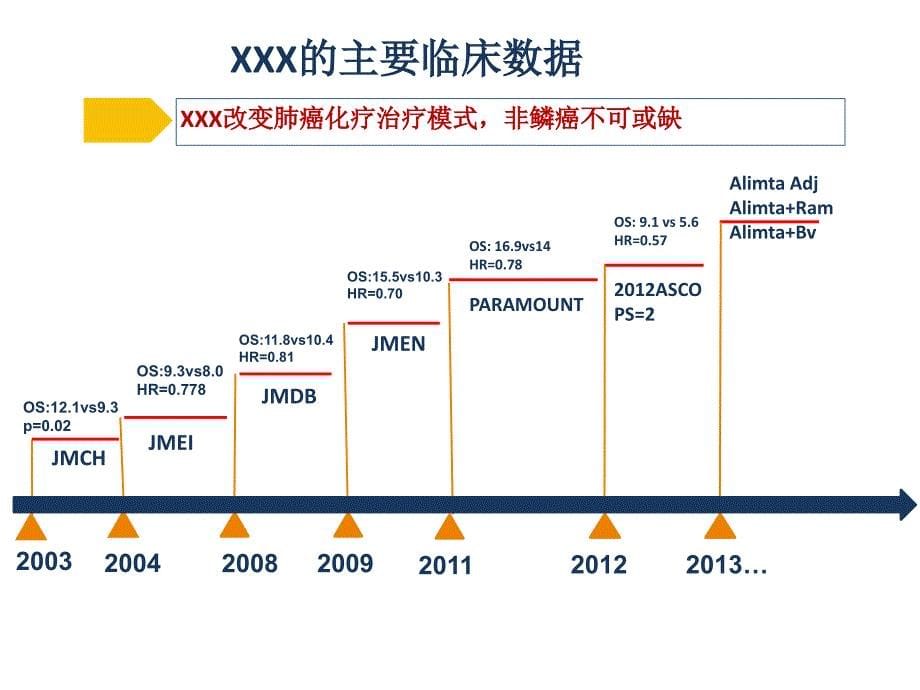 2013xxx产品市场策略资料_第5页