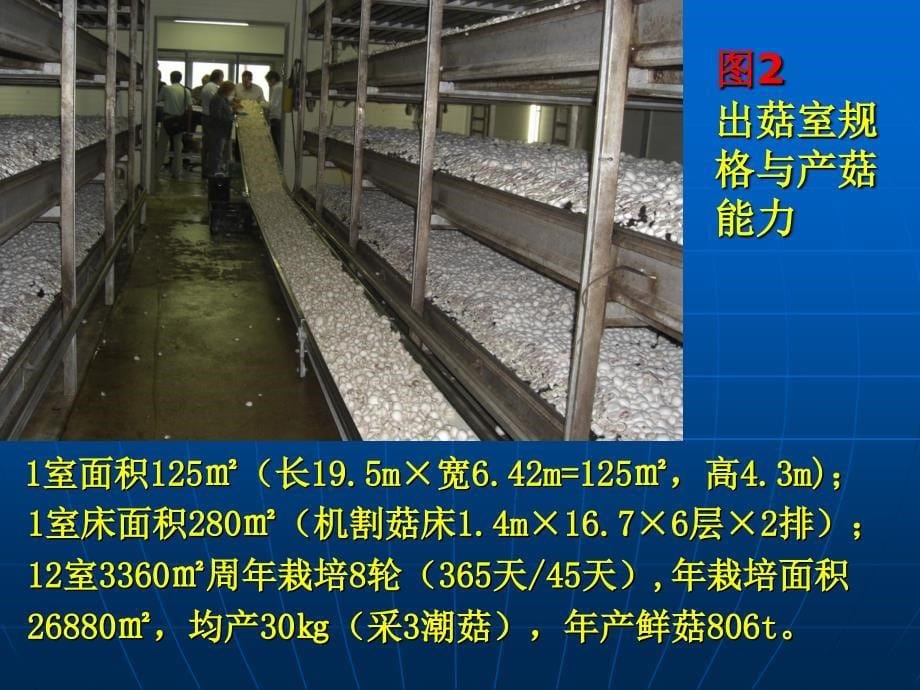国内外蘑菇工厂投入产出分析讲义_第5页