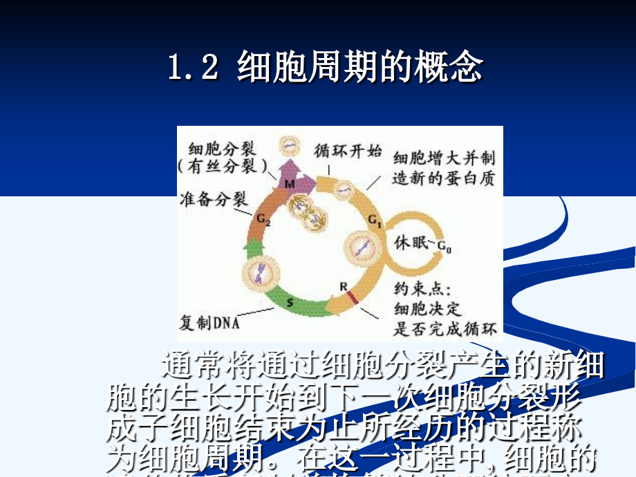 烷化剂治疗恶性肿瘤研究_第4页