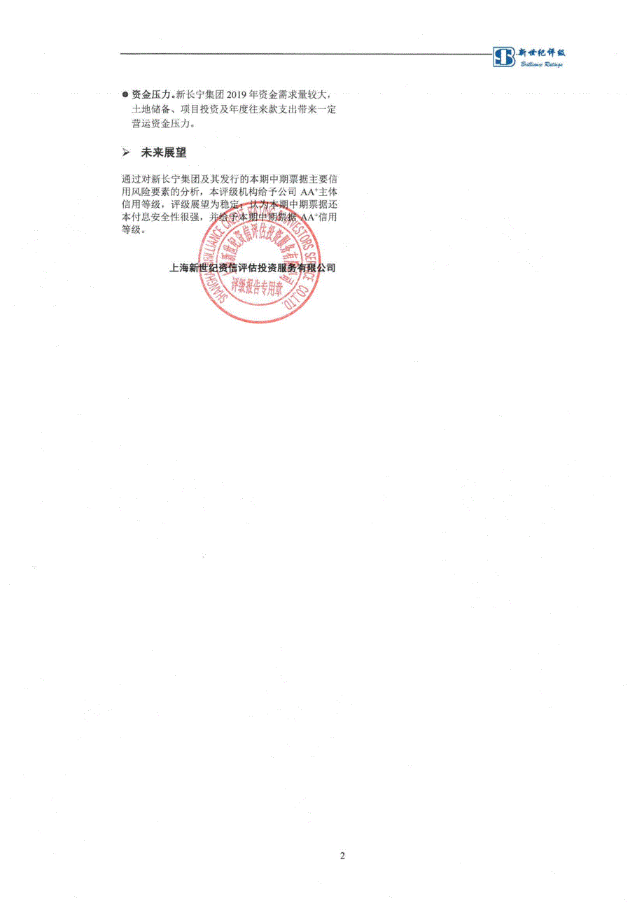 上海新长宁(集团)有限公司2019第一期中期票据信用评级报告及跟踪评级安排_第2页