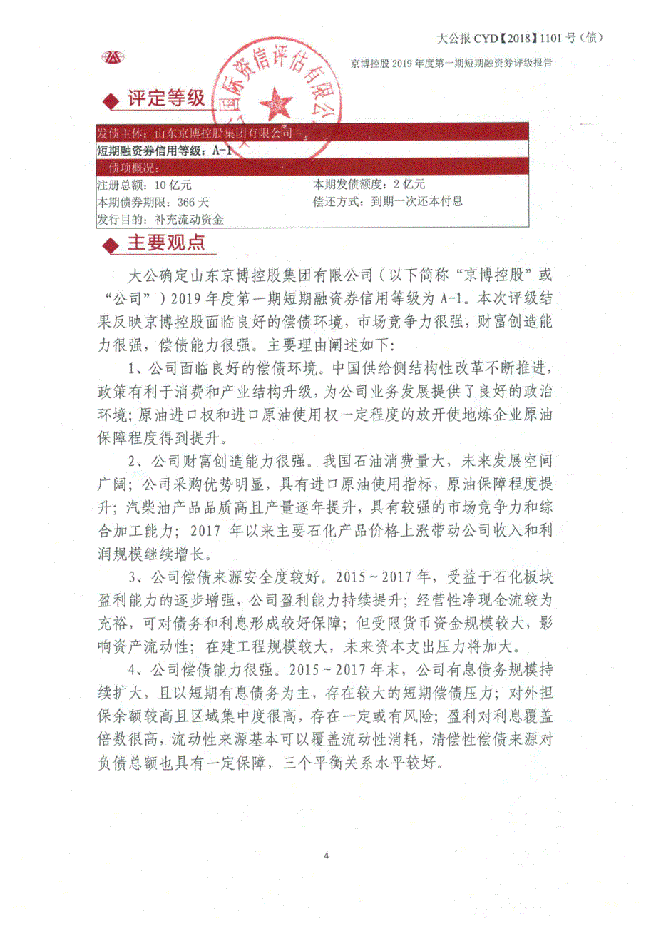 山东京博控股集团有限公司2019第一期短期融资券信用评级报告_第3页