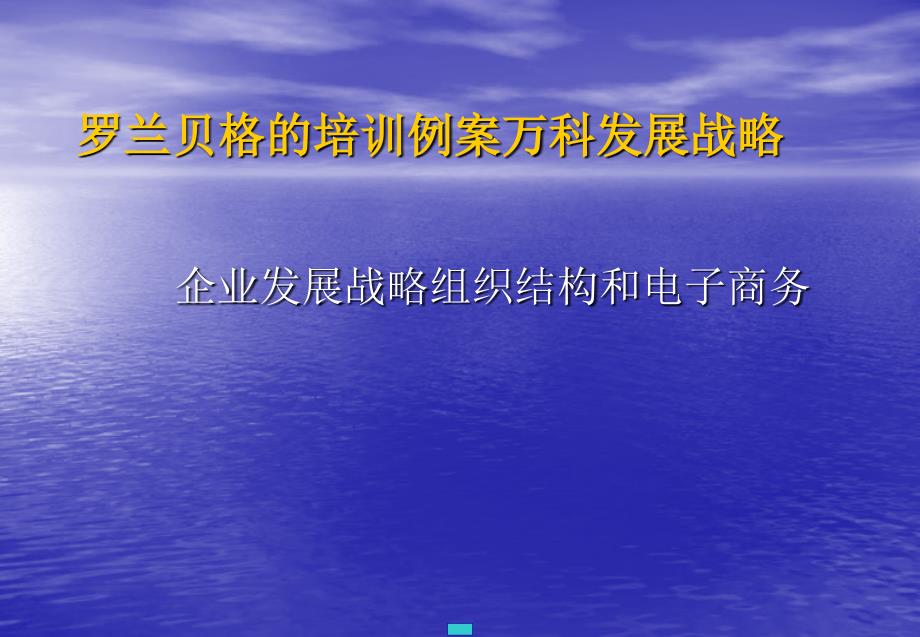 企业发展战略组织结构和电子商务课件_第1页