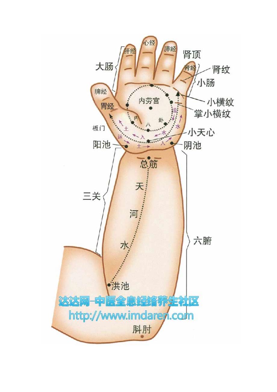 小儿经络推拿(附图)及常见病的推拿方法_第4页