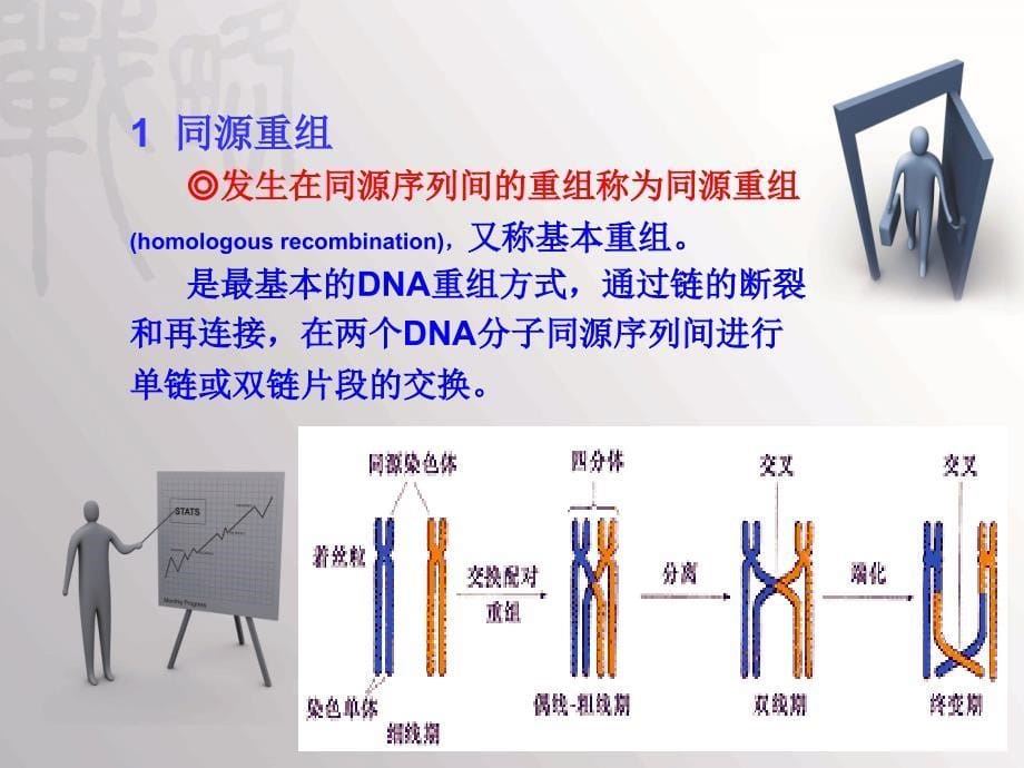 dna的重组与转座培训课程_第5页