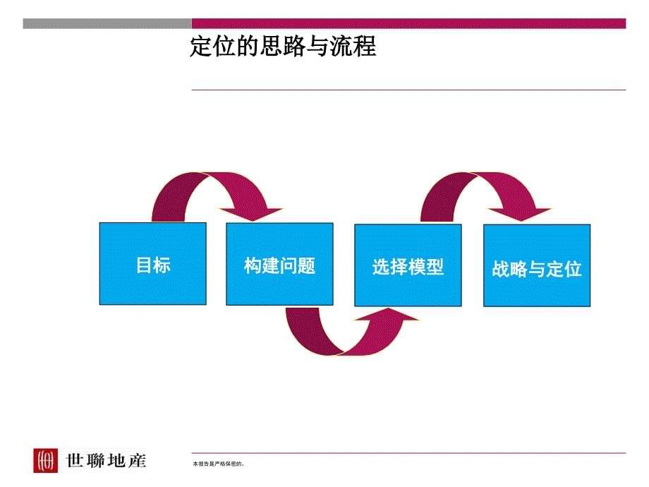 某项目战略与定位报告1_第5页