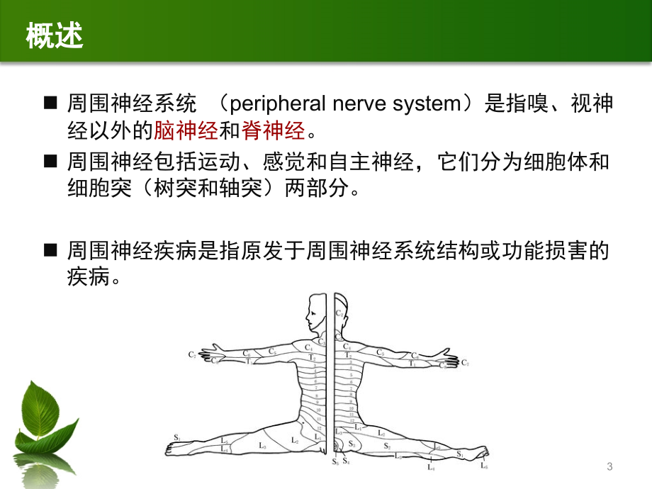 第6章-周围神经病_第3页