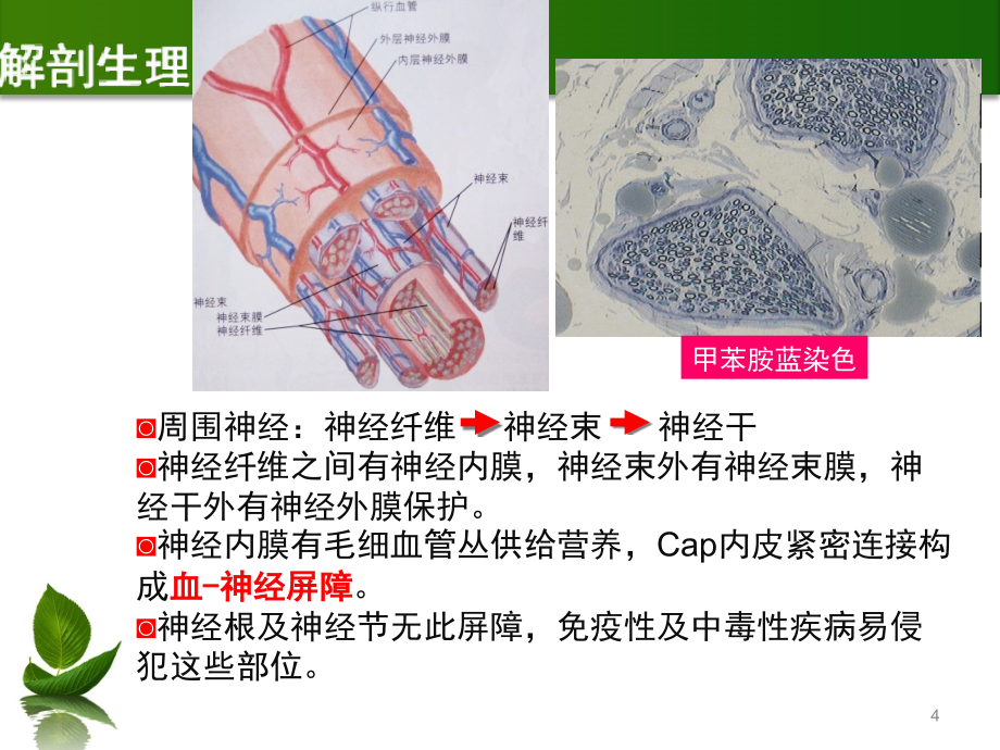 第6章-周围神经病_第4页