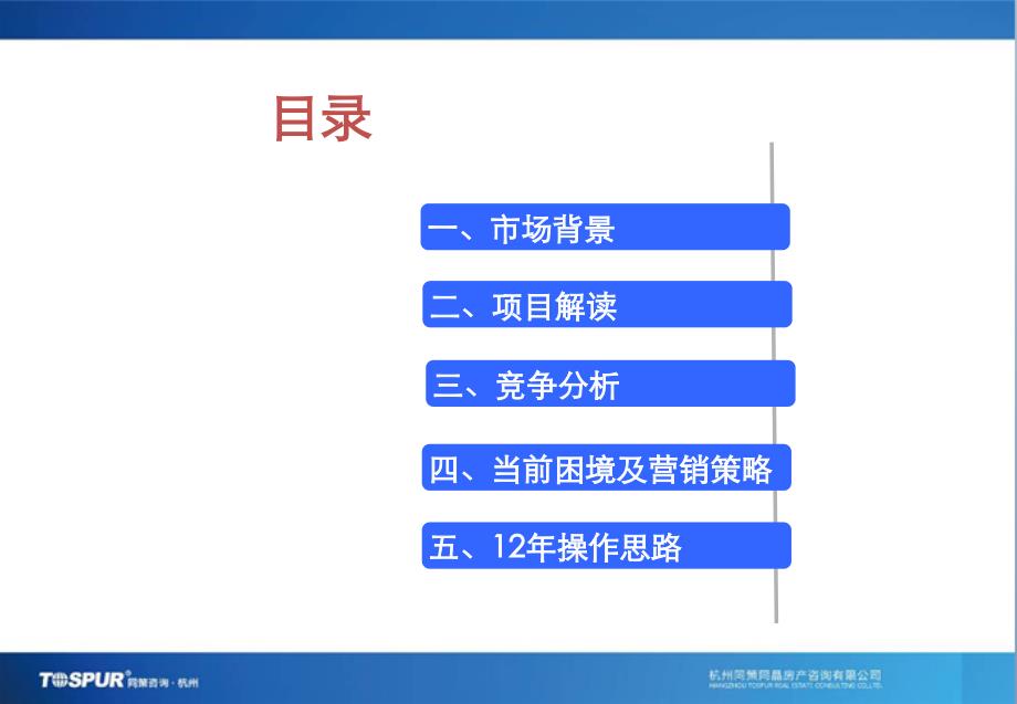 某公司年度营销报告_第2页