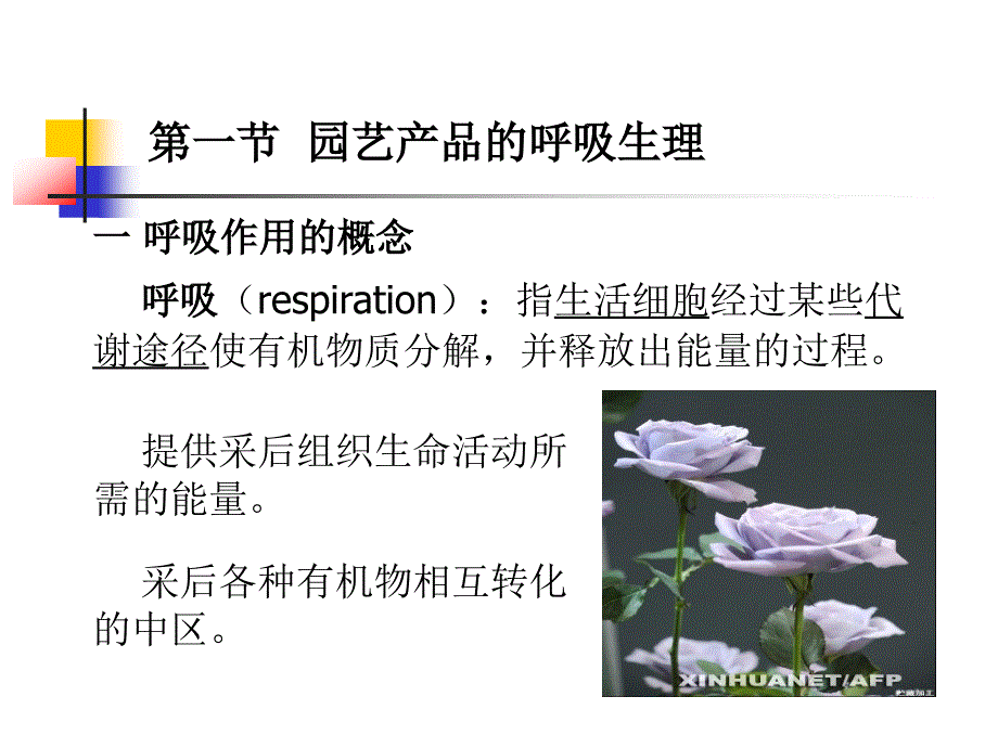 果蔬采后生理学概述_第4页