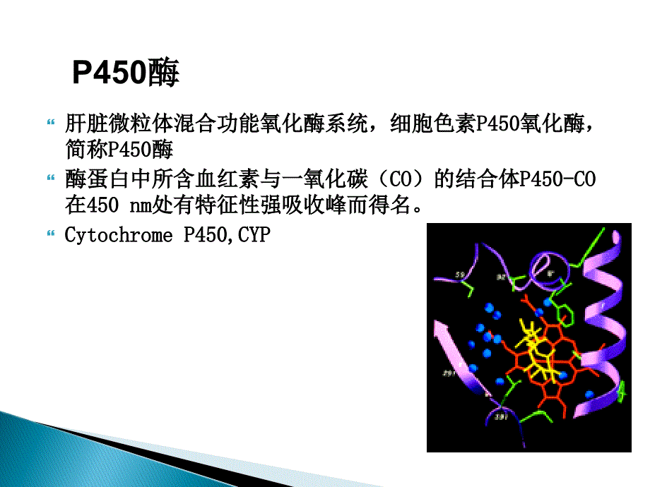 cyp450酶与药物相互作用44张资料_第2页