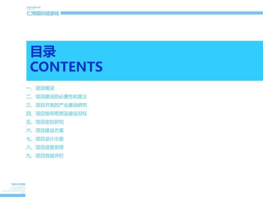 某国际健康城项目策划方案_第5页