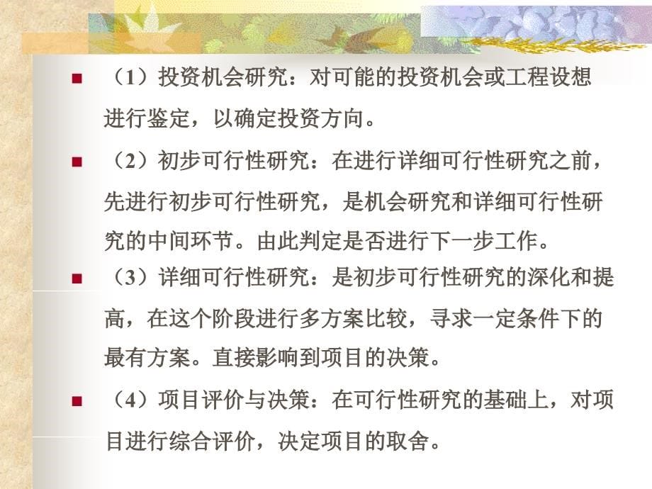 某化工项目的可行性研究报告_第5页