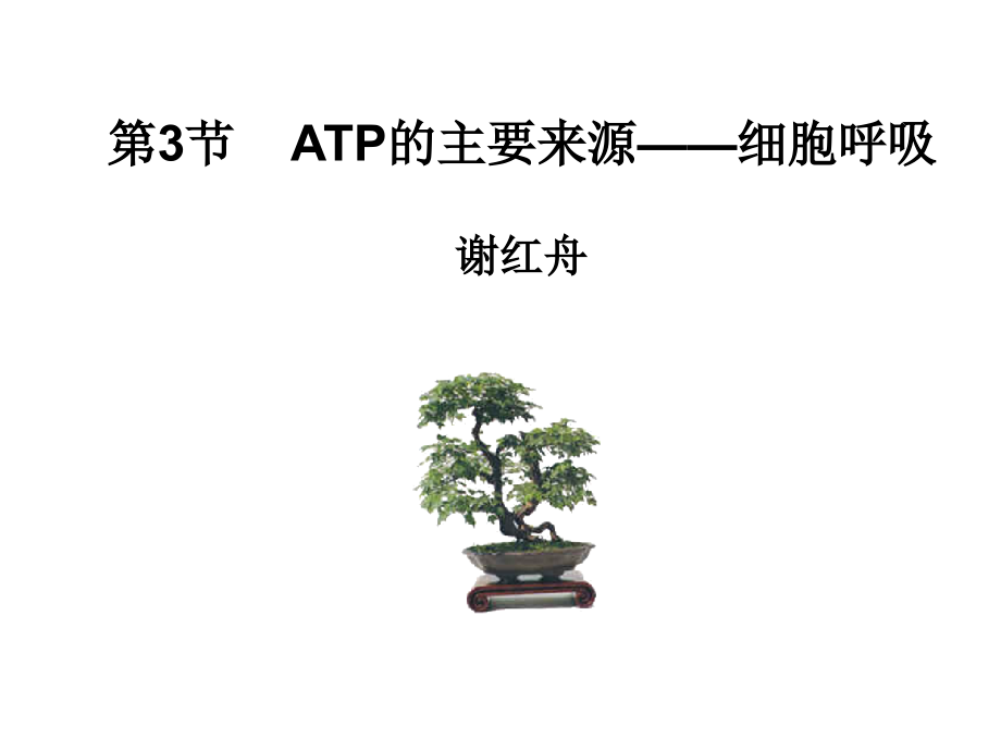 人教版教学课件细胞呼吸.ppt的资料_第2页