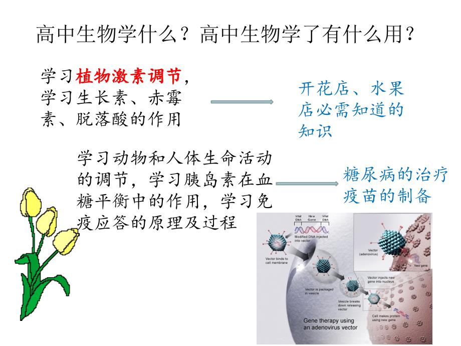 人教版高中生物必修一第一章课件资料_第4页