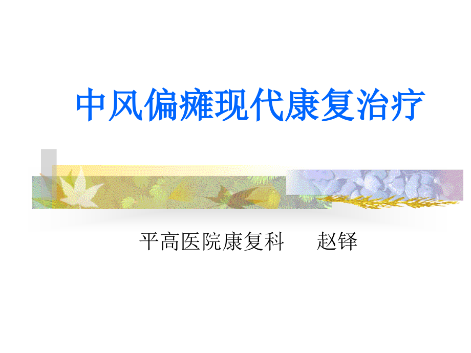 中风偏瘫现代康复治疗资料_第1页