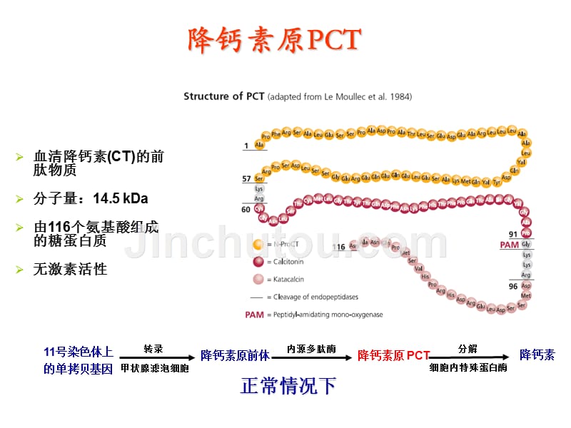 pct降钙素原介绍_第3页