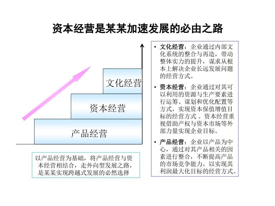 某集团资本经营业务分析报告_第5页