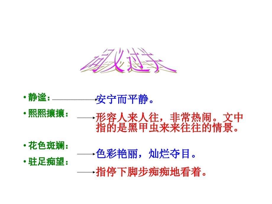 （课堂教学课件1）草虫的村落_第5页