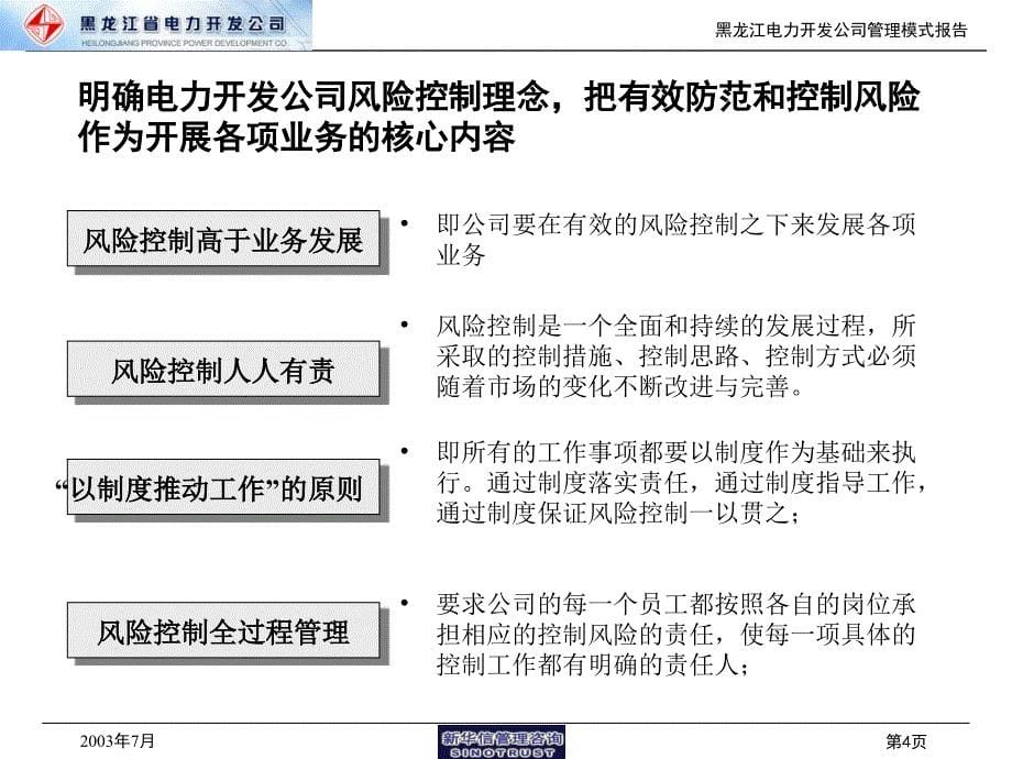 新华信—黑龙江辰能集团咨询第一阶段：黑龙江省电力开发公司管理模式报告_第5页