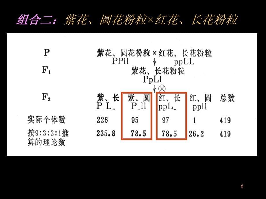 连锁遗传和性连锁课件1_第5页