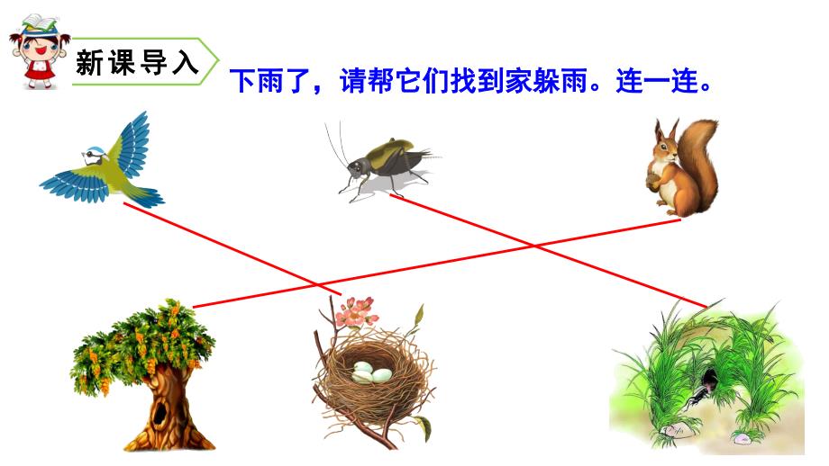 8《蝴蝶的家》部编版四年级语文上册课件_第1页