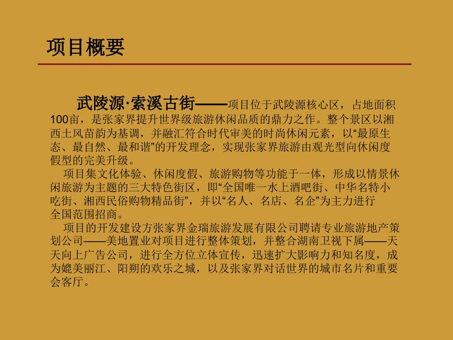 某古街项目整体策划汇报方案1_第4页