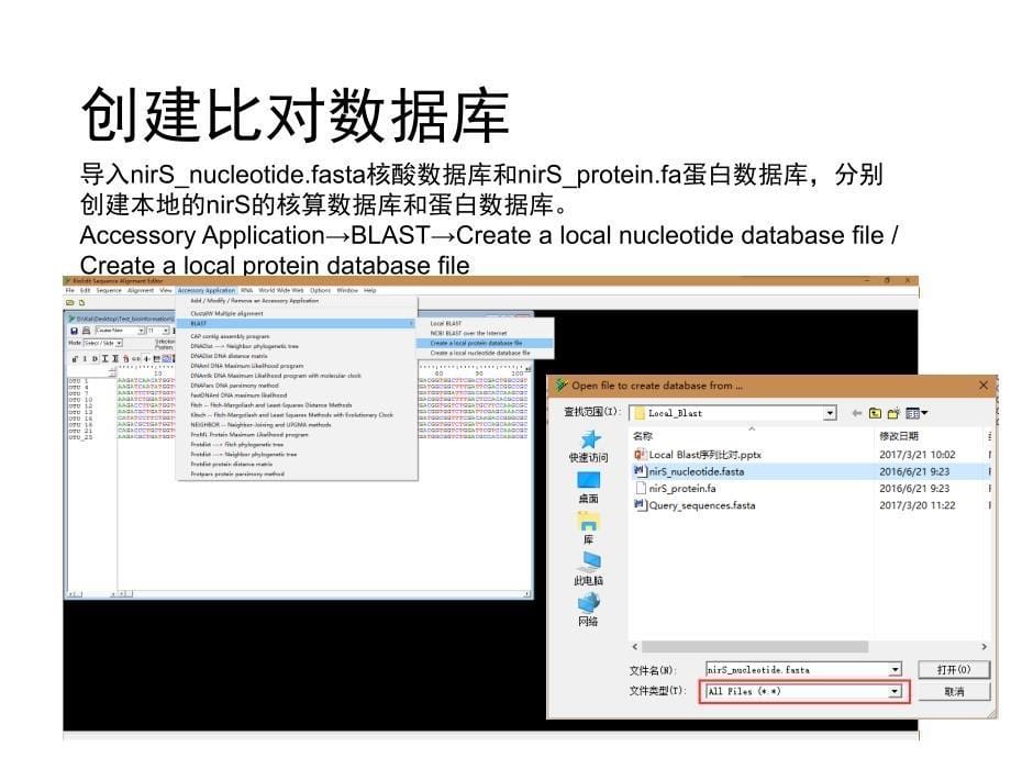 local blast序列比对教程_第5页