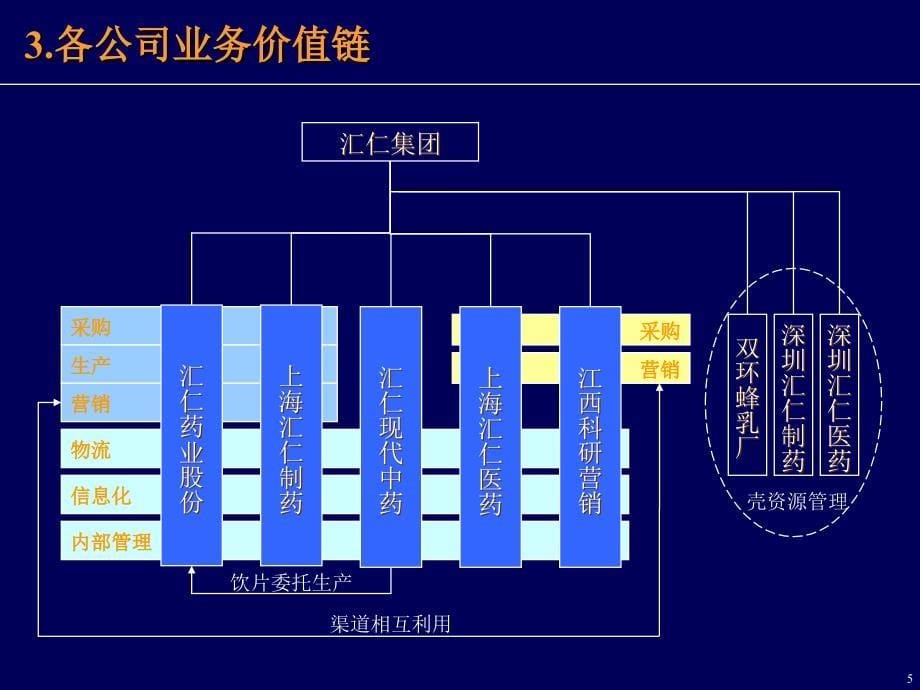 汇仁集团架构及管理模式解决方案_第5页