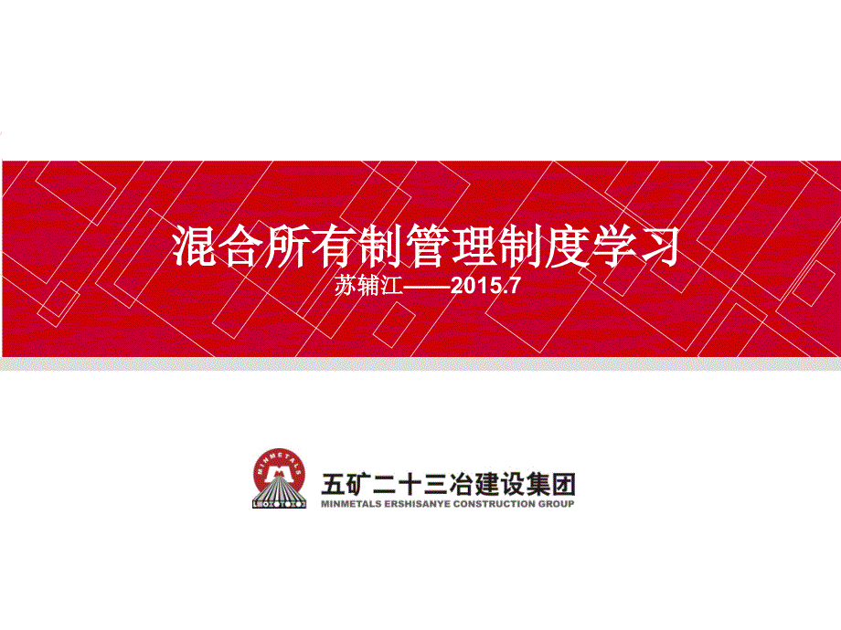 某集团公司混合所有制制度学习_第1页