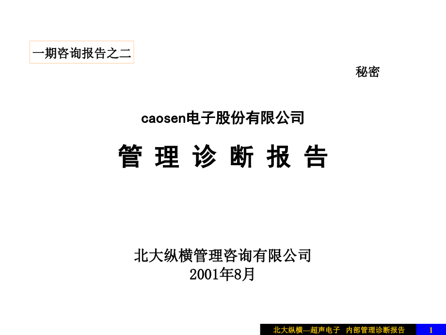 某电子股份有限公司管理诊断报告_第1页