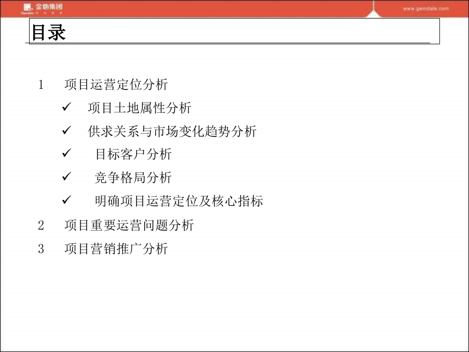 某公司项目运营策划大纲_第3页