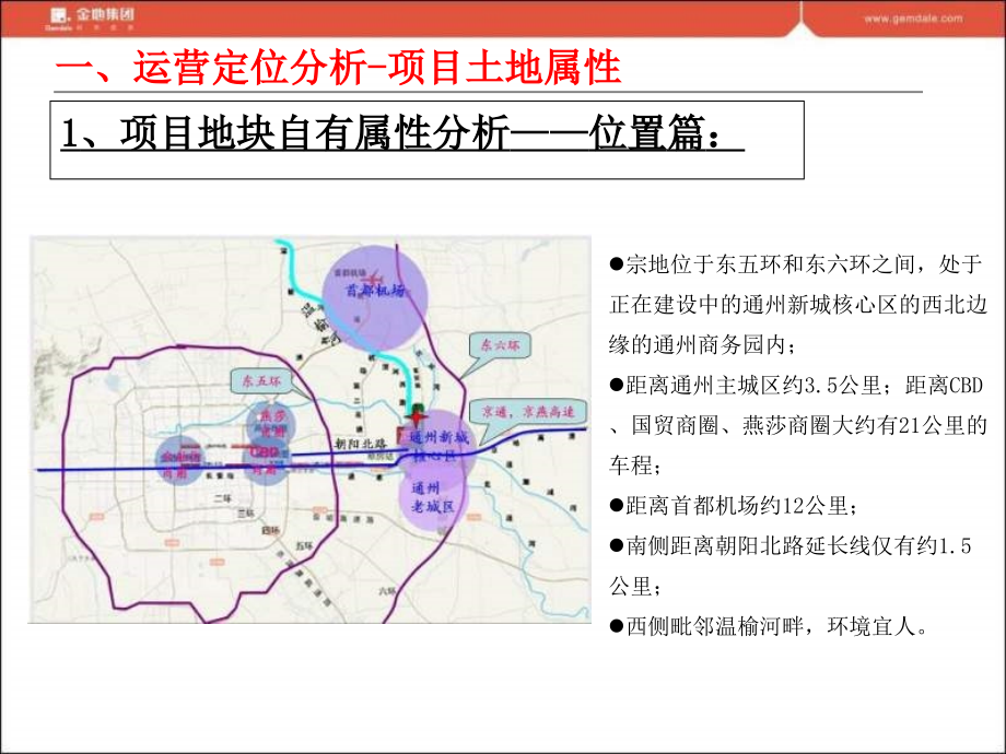 某公司项目运营策划大纲_第4页