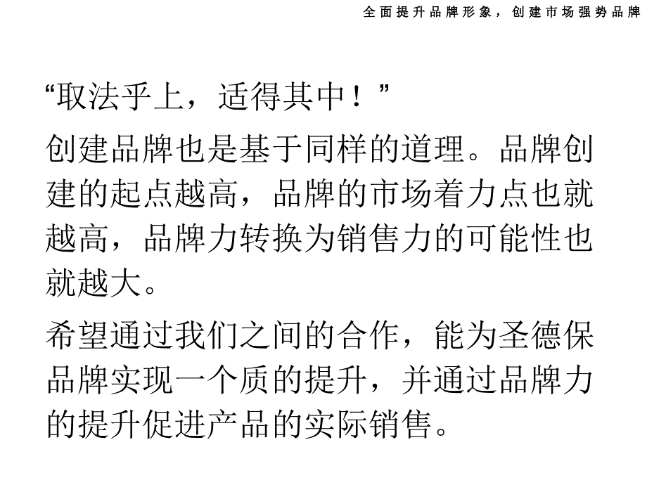 某品牌提升策略及传播策略分析_第2页